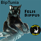 felis bippus album cover, pic of cat sitting upright, clicking link plays album 